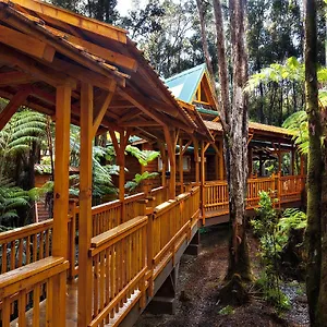 Laukapu Forest Volcano